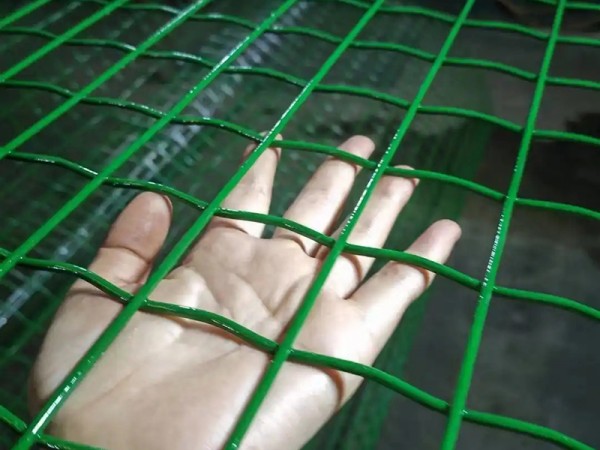 济宁荷兰网